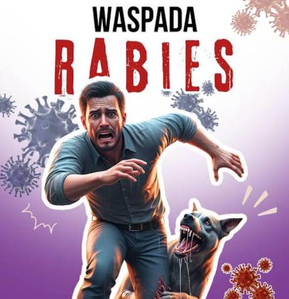 Rabies Bisa Menyerang Siapa Saja, Ini Pentingnya Vaksin untuk Hewan Peliharaan