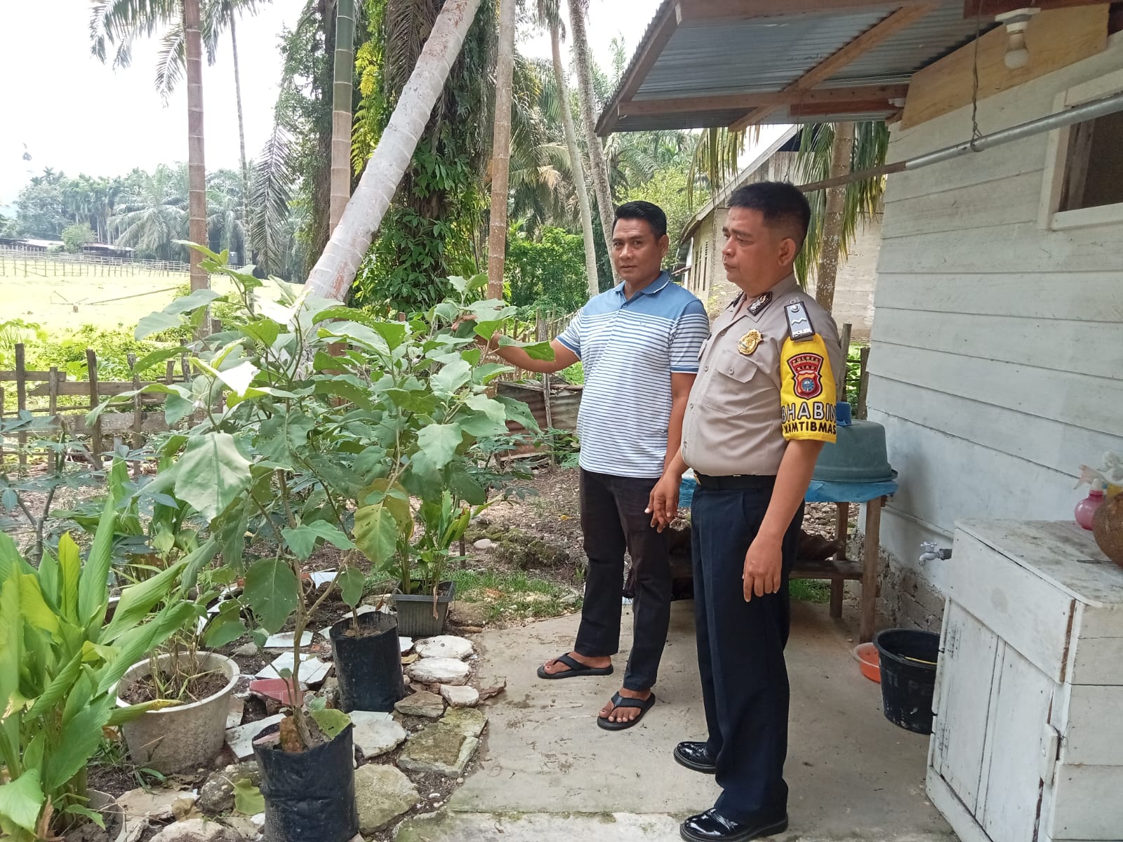 BABINKAMTIBMAS HADIRI PENGECEKAN PEKARANGAN BERGIZI DI DESA KEBUN LADO, DUKUNG PROGRAM ASTA CITA PRESIDEN